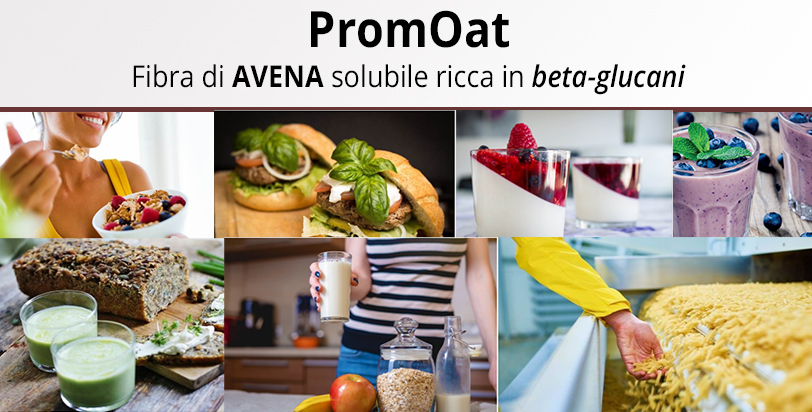 Fibra di avena solubile – PromOat