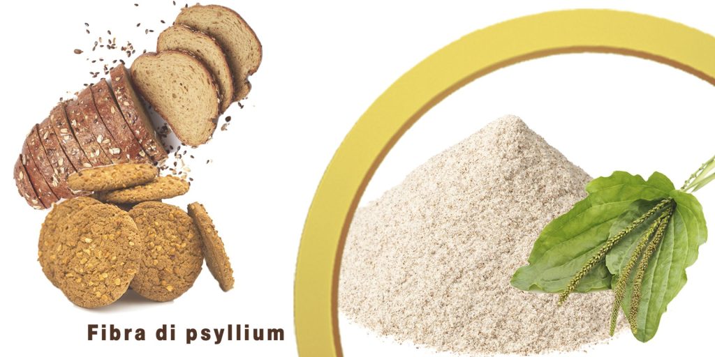 <strong>Fibra di psyllium<strong>