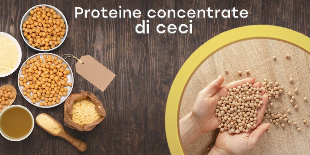 Proteine concentrate di ceci