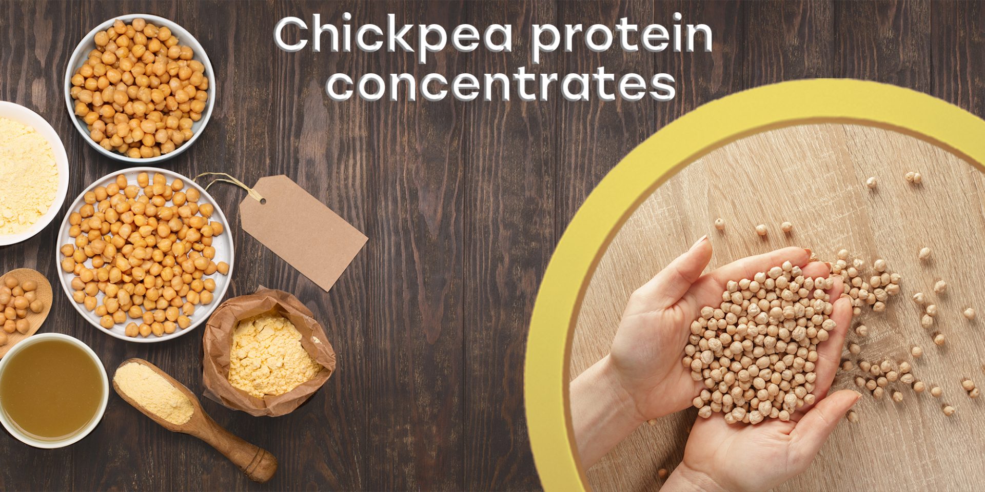 Chickpea protein concentrates